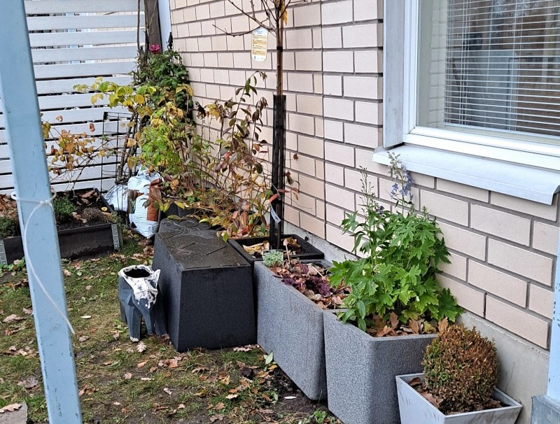 Monivuotinen ruukkupuutarha